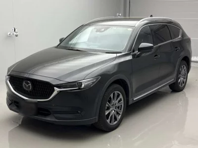 Mazda CX-8  с аукциона в Японии