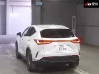 Lexus NX лот № 4005 оценка 4.5  с аукциона в Японии 1