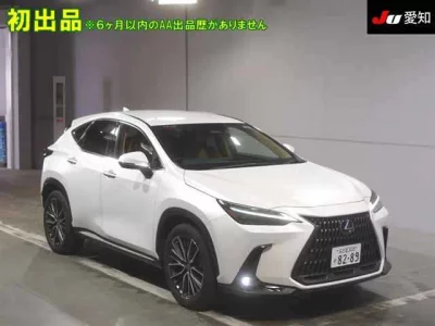 Lexus NX  с аукциона в Японии