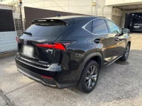 Lexus NX лот № 50083 оценка R  с аукциона в Японии 1