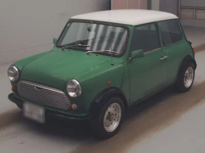 Rover MINI