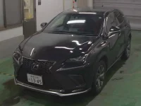 Lexus NX лот № 3045 оценка 4.5  с аукциона в Японии 6