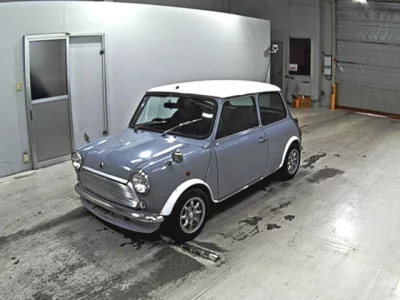Rover MINI