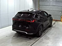Lexus NX лот № 3022 оценка 4.5  с аукциона в Японии 4