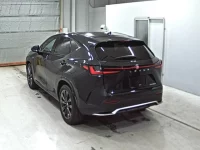 Lexus NX лот № 3022 оценка 4.5  с аукциона в Японии 1