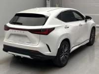 Lexus NX лот № 10004 оценка 4.5  с аукциона в Японии 1