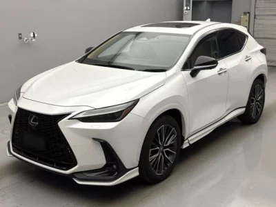 Lexus NX  с аукциона в Японии