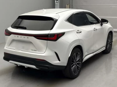 Lexus NX  с аукциона в Японии