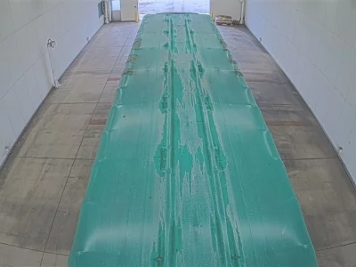 Hino PROFIA  с аукциона в Японии