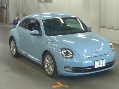 Volkswagen THE BEETLE