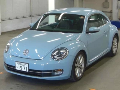 Volkswagen THE BEETLE