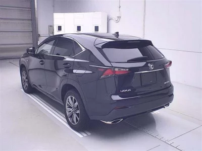 Lexus NX  с аукциона в Японии