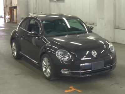 Volkswagen THE BEETLE