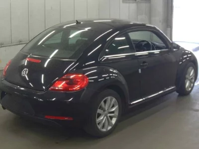 Volkswagen THE BEETLE