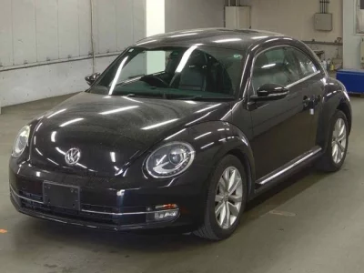 Volkswagen THE BEETLE