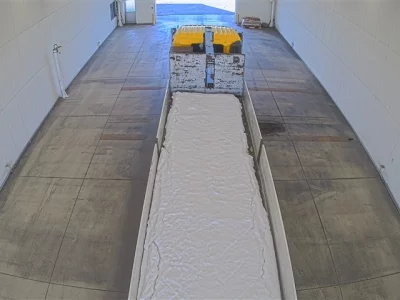 Hino PROFIA  с аукциона в Японии