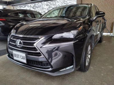 Lexus NX  с аукциона в Японии