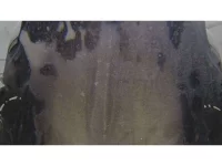 BMW 1-Series лот № 38028 оценка 4  с аукциона в Японии 10