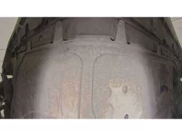 Volkswagen THE BEETLE лот № 38135 оценка 4.5  с аукциона в Японии 10