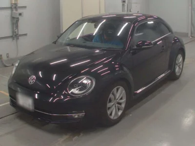 Volkswagen THE BEETLE