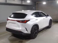 Lexus NX лот № 10003 оценка 5  с аукциона в Японии 1