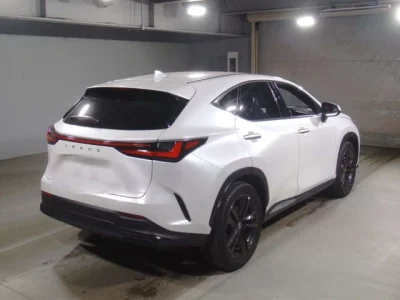 Lexus NX  с аукциона в Японии