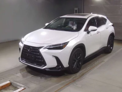 Lexus NX  с аукциона в Японии