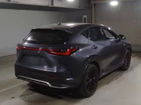 Lexus NX лот № 10012 оценка 4.5  с аукциона в Японии 1