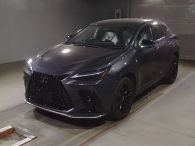 Lexus NX  с аукциона в Японии