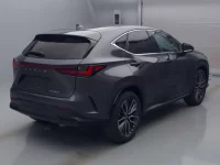 Lexus NX лот № 76045 оценка R  с аукциона в Японии 1