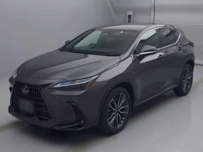 Lexus NX  с аукциона в Японии