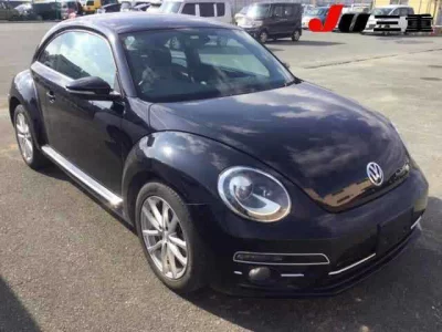 Volkswagen THE BEETLE