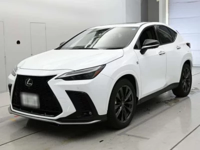Lexus NX  с аукциона в Японии