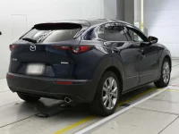 Mazda CX-30 лот № 33039 оценка 4.5  с аукциона в Японии 1