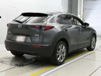 Mazda CX-30 лот № 36097 оценка 5  с аукциона в Японии 1