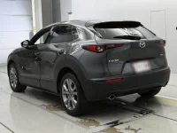 Mazda CX-30 лот № 36097 оценка 5  с аукциона в Японии 5