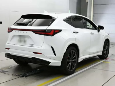 Lexus NX  с аукциона в Японии