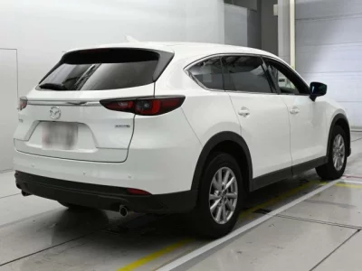 Mazda CX-8  с аукциона в Японии