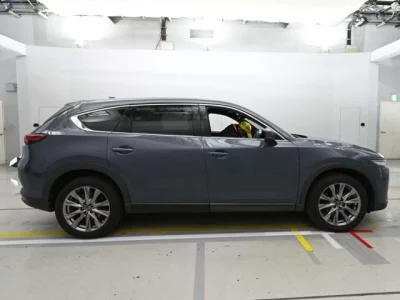 Mazda CX-8  с аукциона в Японии