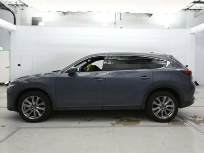 Mazda CX-8  с аукциона в Японии