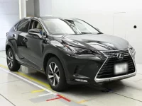 Lexus NX лот № 36489 оценка 4.5  с аукциона в Японии 4