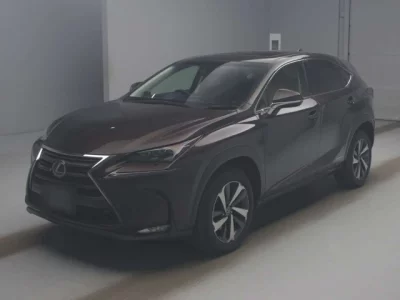 Lexus NX  с аукциона в Японии
