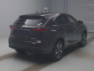 Lexus NX  с аукциона в Японии