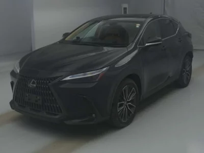 Lexus NX  с аукциона в Японии