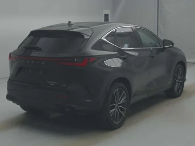 Lexus NX  с аукциона в Японии