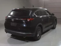 Mazda CX-8 лот № 30010 оценка 4  с аукциона в Японии 1
