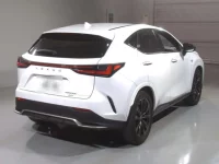 Lexus NX лот № 10019 оценка 4  с аукциона в Японии 1