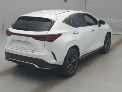 Lexus NX  с аукциона в Японии
