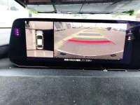 Mazda MAZDA3 лот № 315 оценка   с аукциона в Японии 14