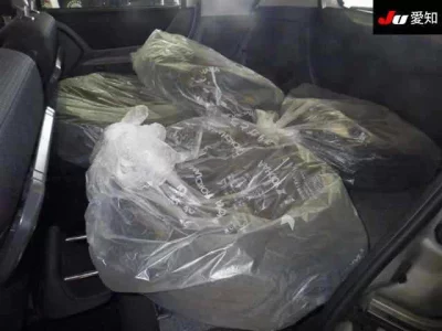 Mitsubishi DELICA D2